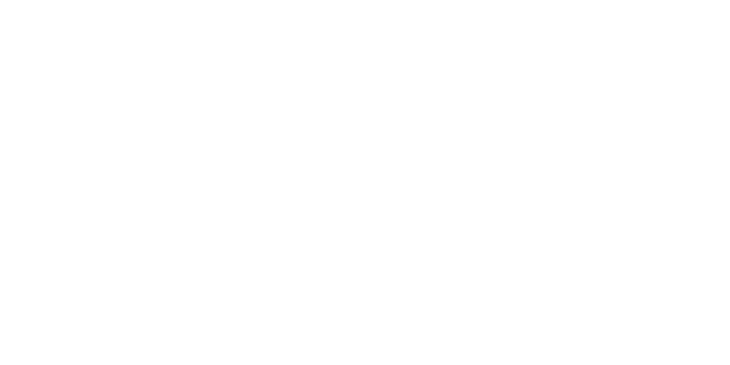 Promex Realty logo in white